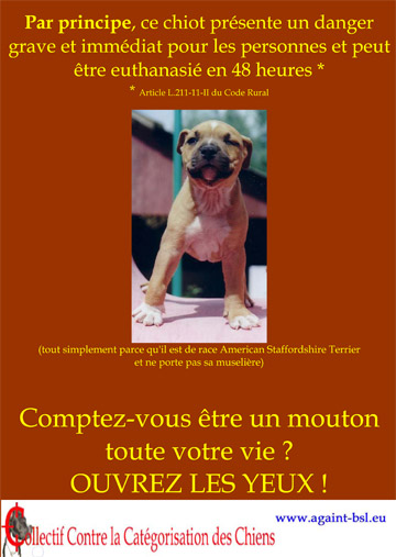 collectif contre la catégorisation des chiens