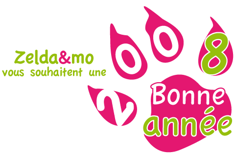 bonne année 2008 de la part de zelda et mo