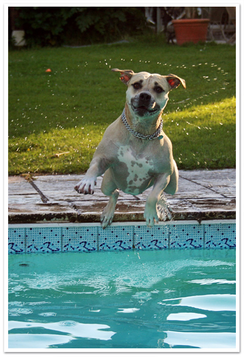 zelda à la piscine