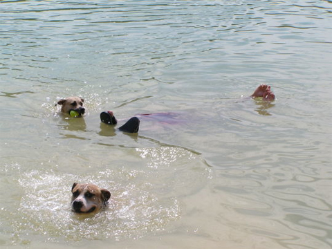 tous à l'eau